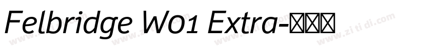 Felbridge W01 Extra字体转换